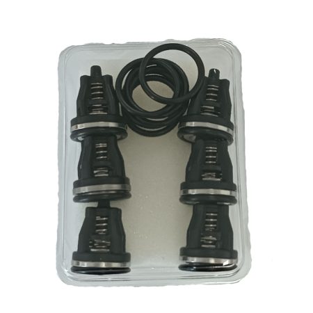 Mazzoni PMD-CW-1220 szivattyúhoz szelep készlet